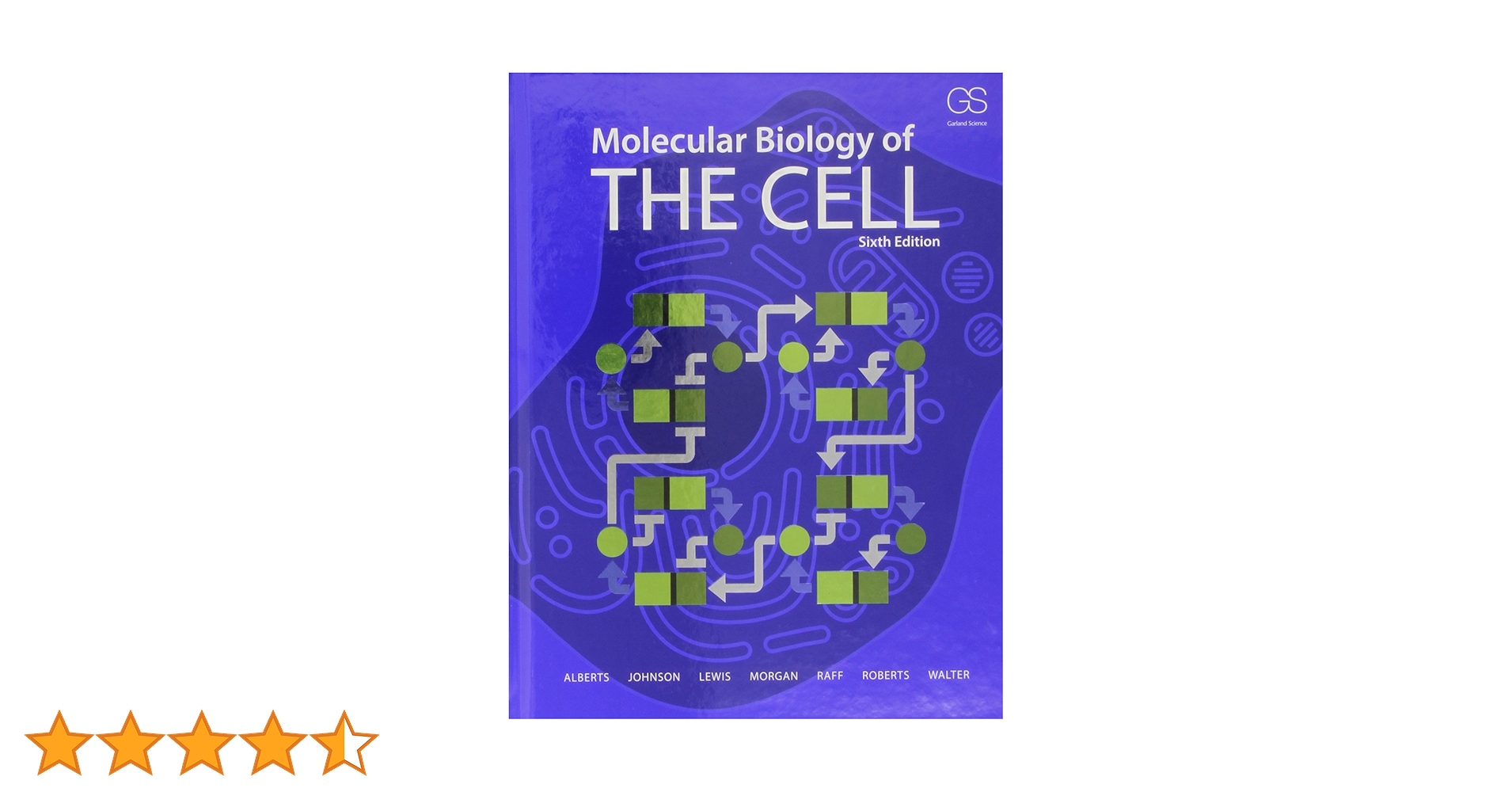 Molecular Biology of THE CELL 第6版 細胞の分子生物学 第6版 | ALBERTS, JOHNSON, LEWIS, MORGAN